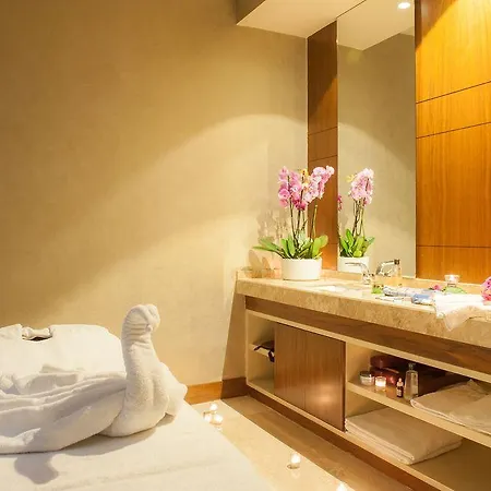 Isg Sabiha Goekcen Airport Hotell 4*