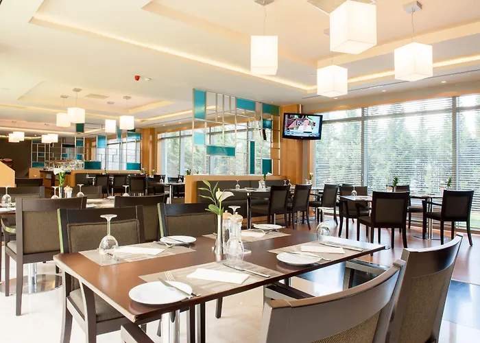 Isg Sabiha Goekcen Airport Hotell 4*