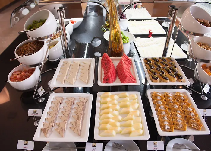 Isg Sabiha Goekcen Airport Hotell 4*