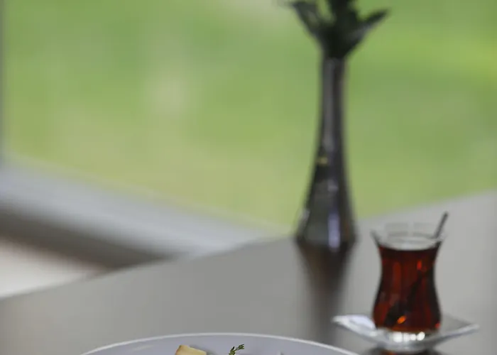 Isg Sabiha Goekcen Airport 4* Istanbul